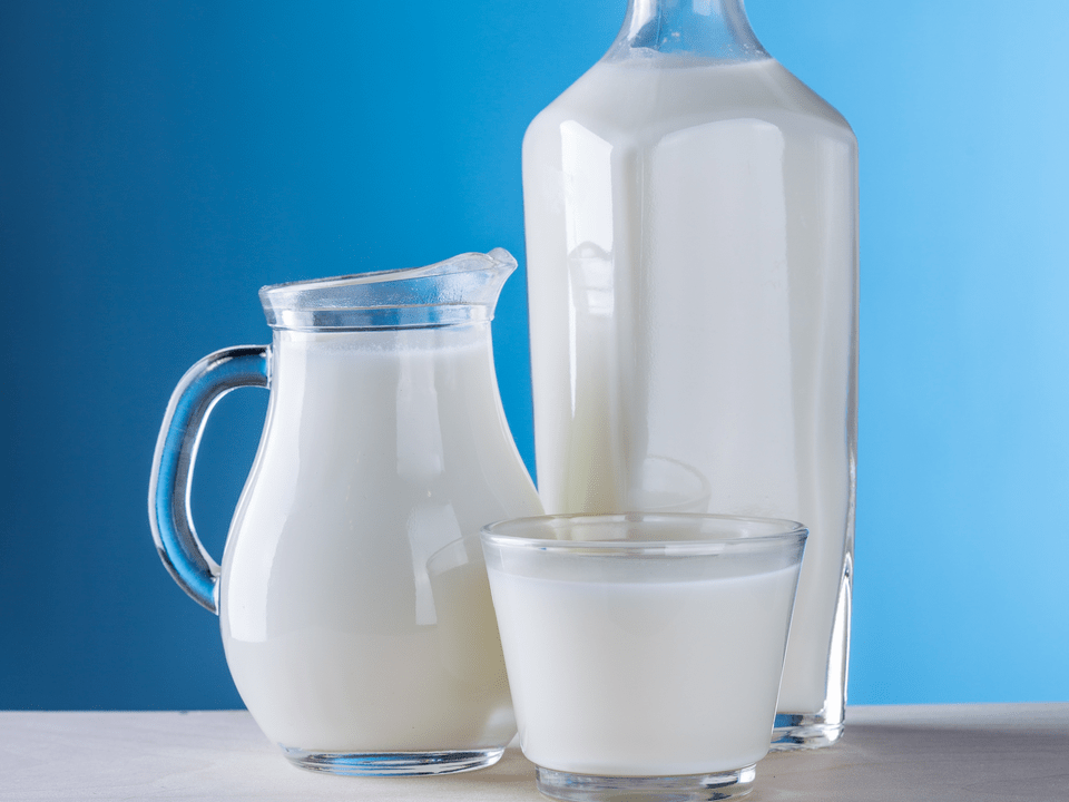 Milchprodukte sind die Grundlage der Kefir-Diät. 