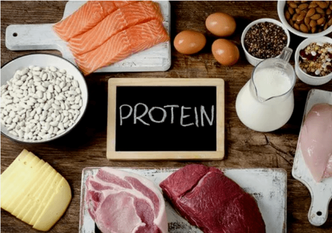 Protein -Diät -Produkte